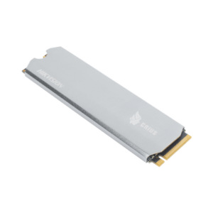 Unidad de Estado Sólido (SSD) 256 GB / PERFORMANCE EXTREMO / Hasta 3100MB/s / M.2 NVMe / Para Gaming y PC Trabajo Pesado