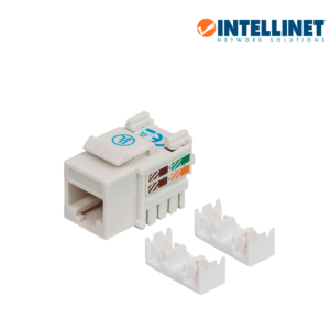 INTELLINET 210591 - Jack RJ45 CAT6 Keystone / de impacto 110 / color blanco