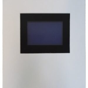 PARKTRON H08 - Controlador de zona para estacionamientos guiados / Capacidad de 40 detectores ULTRASONICOS TS07