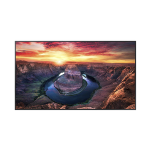 Pantalla Profesional LED de 55", UHD 4K (3840x2160p), Entradas de Video HDMI/DisplayPort, Bocinas Integradas de 10 W. Compatible VESA. Modo de Simulación DICOM